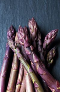 Via Con Me : les asperges violettes d’Albenga