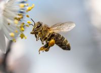 De Culture en Nature : émissions de février 2023