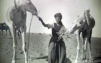 Ces femmes qui ont fait la Bretagne