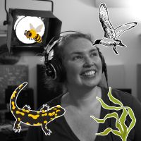 La cabane de Sève et Dune du 11 novembre 2025