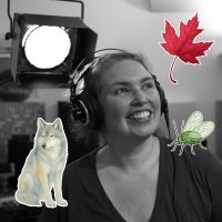 La cabane de Sève et Dune du 25 novembre 2025