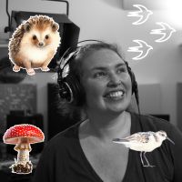 La cabane de Sève et Dune du 2 décembre 2025