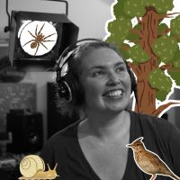 La cabane de Sève et Dune du 16 décembre 2025