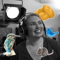 La cabane de Sève et Dune du 23 décembre 2025