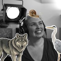 La cabane de Sève et Dune du 30 décembre 2025