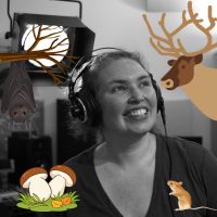 La cabane de Sève et Dune du 24 février 2026