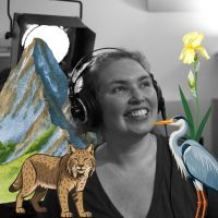 La cabane de Sève et Dune du 28 avril 2026